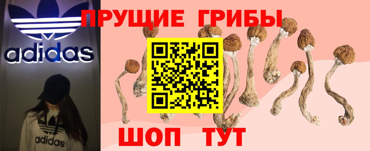 Галлюциногенные грибы MAGIC MUSHROOMS Видное
